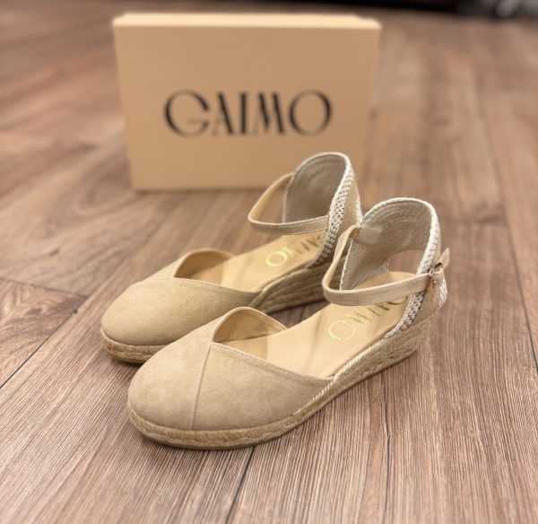 GAIMO COPITA ANTE- Camello-an